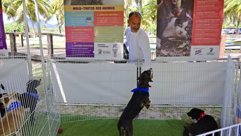 Evento de Adoção de Animais em Jardim da Penha Neste Sábado (24)
