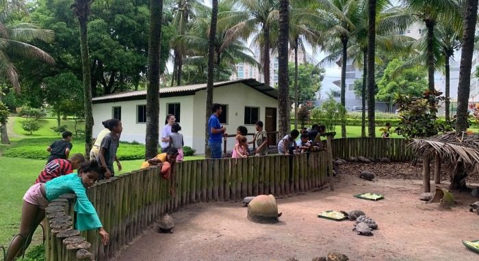 Exploração ambiental: Crianças do bairro do Quadro participarão de atividades na Mata Paludosa