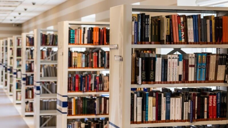 Celebrando a Força Feminina: Programação Especial na Biblioteca Durante o Mês da Mulher