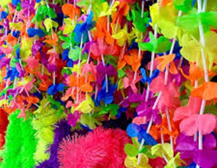 Carnaval pode sair caro: preços variam mais de 200% no comércio online