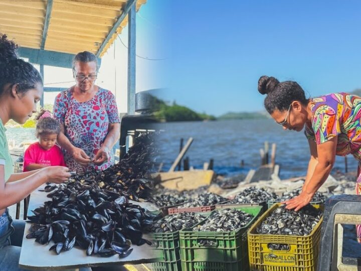 Com expansão da operação, Projeto Sururu supera marca de 10 toneladas mensais de reciclagem de cascas de marisco no ES