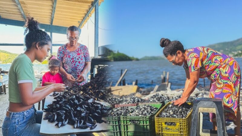 Com expansão da operação, Projeto Sururu supera marca de 10 toneladas mensais de reciclagem de cascas de marisco no ES