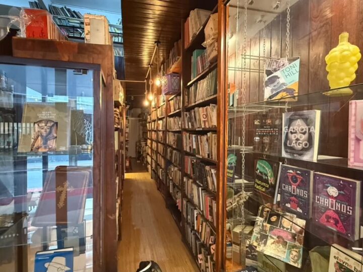 Conheça a livraria com café e gatos que está viralizando em Vitória