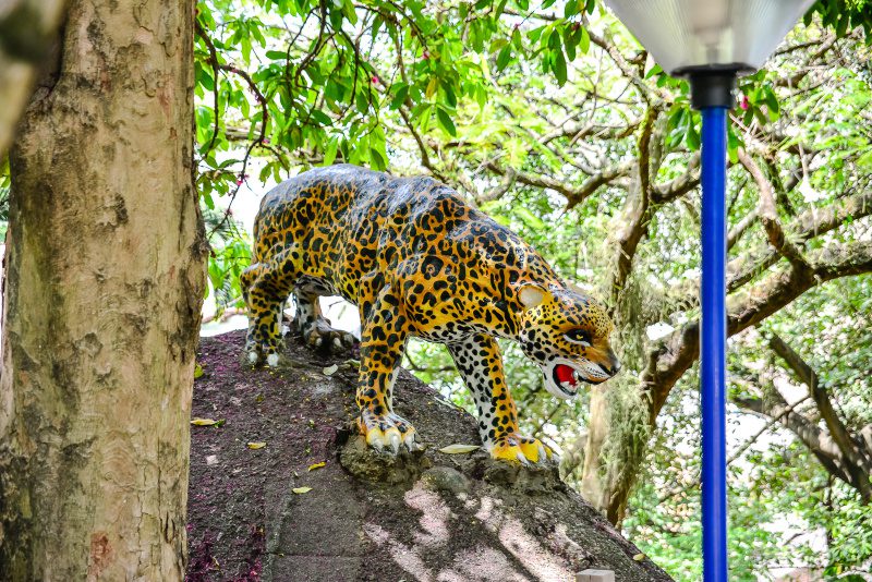 No Centro de Vitória, Gruta da Onça encanta visitantes com natureza e histórias