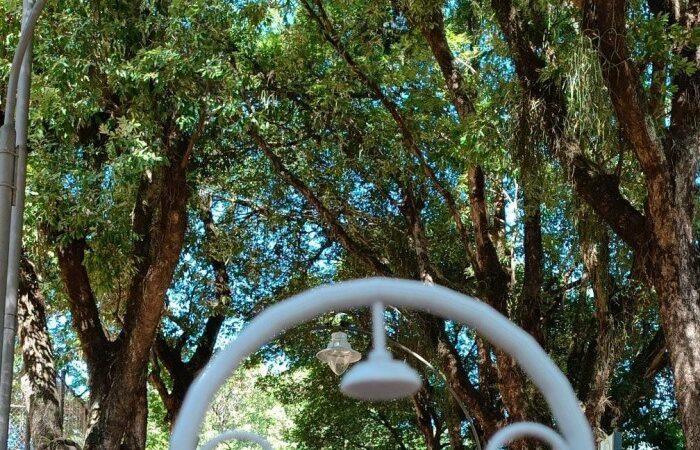 Tecnologia e Inovação se unem para celebrar os 111 anos do Parque Moscoso