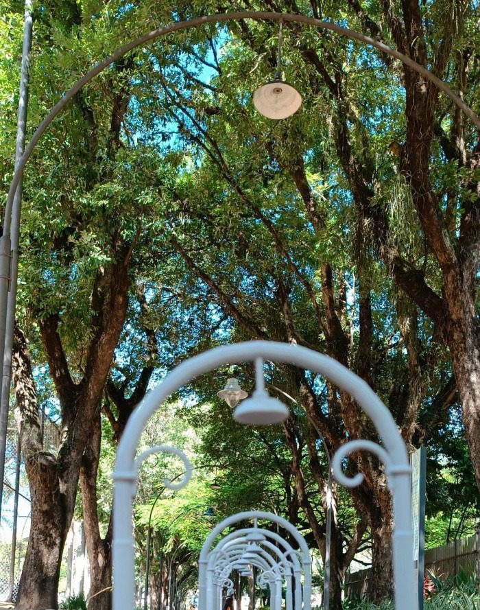 Tecnologia e Inovação se unem para celebrar os 111 anos do Parque Moscoso