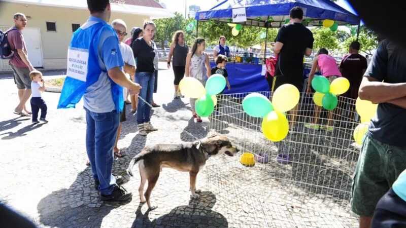 Feira de adoção de animais será na manhã deste sábado (17) na Guarderia