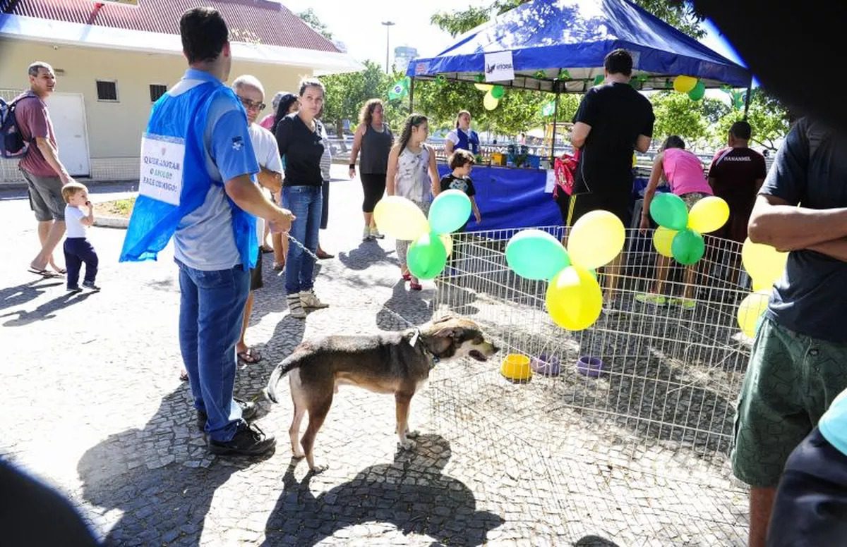 Feira de adoção de animais será na manhã deste sábado (17) na Guarderia