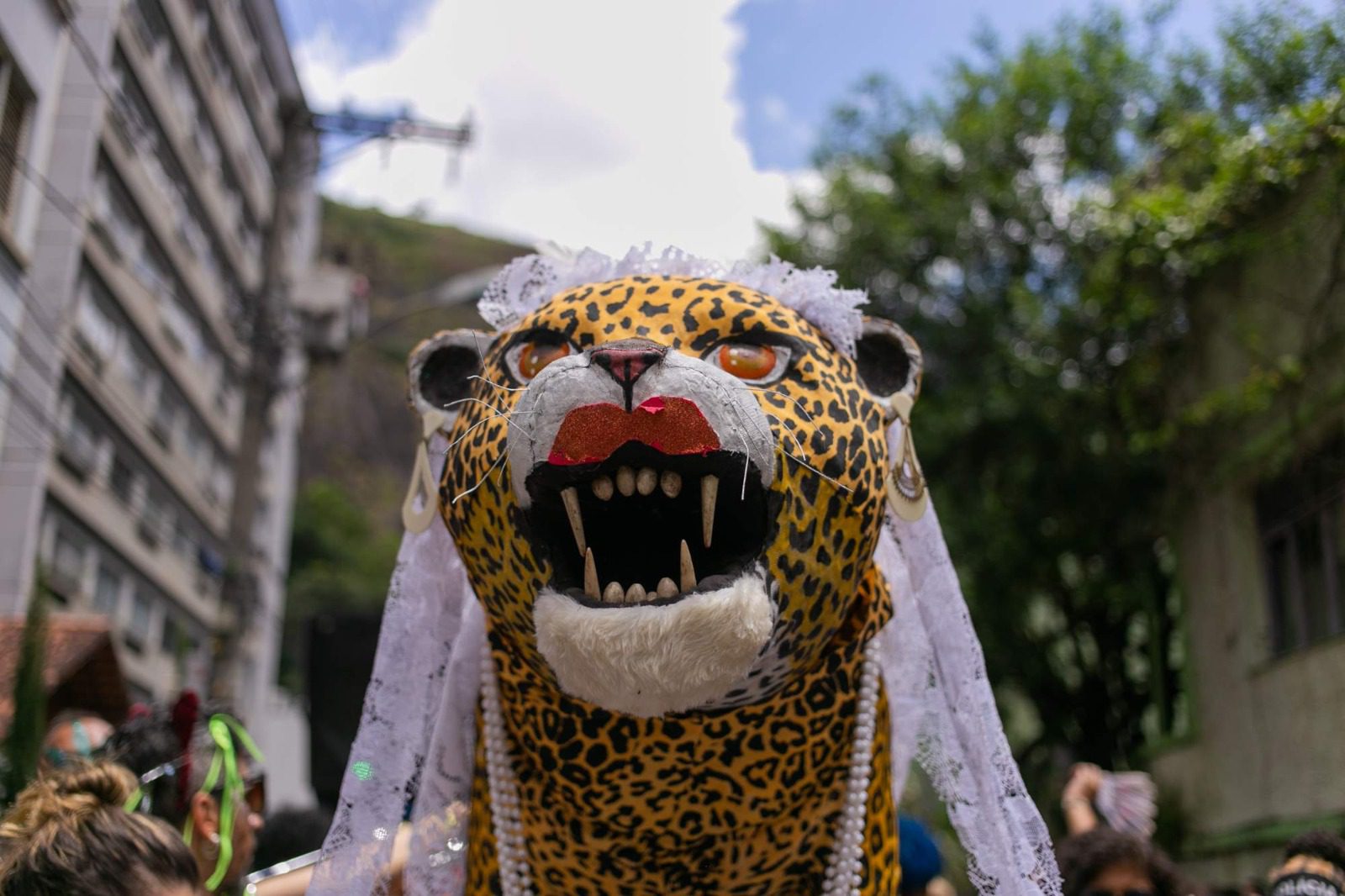 Neste sábado, a Festa do Bloco Amigos da Onça agita o Centro de Vitória