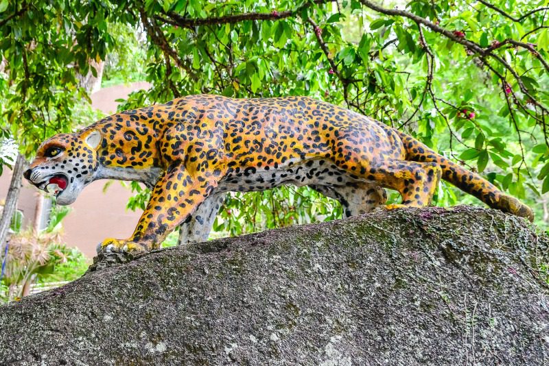 Vivência no Parque Gruta da Onça reúne os Guardiões Ambientais Mirins em atividade educativa