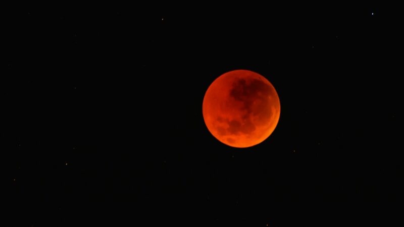 “Eclipse da Lua Vermelha”: Aprenda a ver o fenômeno nesta sexta-feira (14/03)